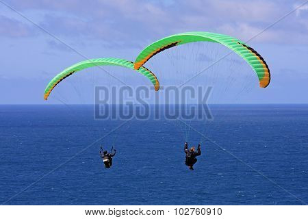 Paragliders