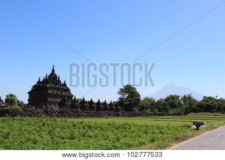 Budhism Temple And Statue in Jogja Indonesia