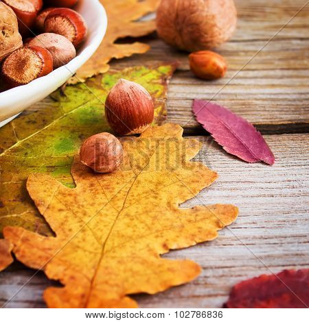 Nuts And Bright Autumn Leaves On The Wooden Background