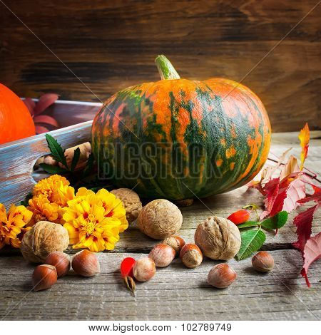 Pumpkin, Marigolds And Nuts On An Old Wooden Background. Autumn