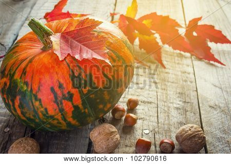 Pumpkin, Purple Leaves And Nuts On An Old Wooden Background, Tin