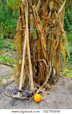 Primitive Native American Farming