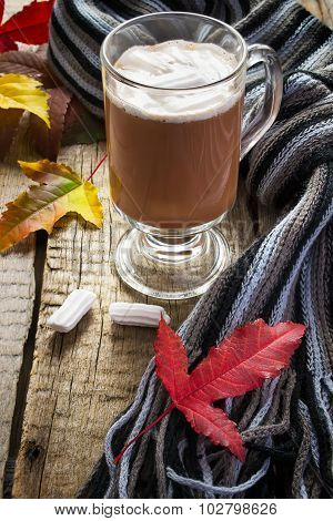 Cocoa with marshmallows, scarf and autumn leaves