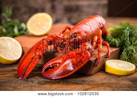 Lobster