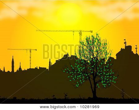 Městský strom