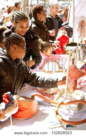 Students Touch Real Human Lung At Atlanta Science Fair