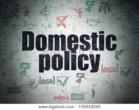 Political concept: Domestic Policy on Digital Paper background