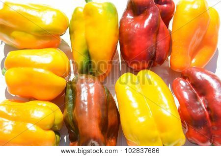 Peppers Yellow And Red 1