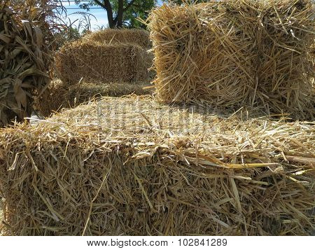 Close-up Undecorated Hay Bales for Autumn Celebrations