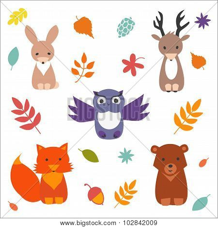 Forest Animals