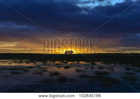 Sunset