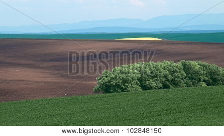 Countryside Of Moravia