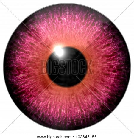 Red Eye