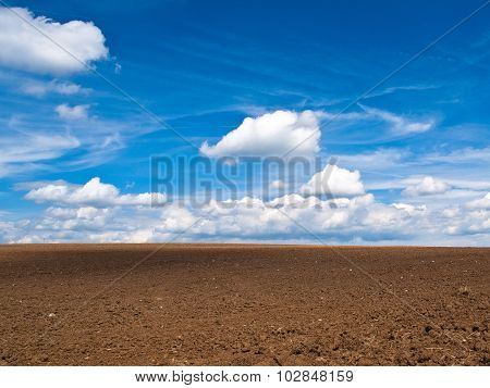 Field And Sky