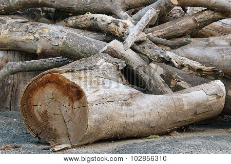 pile of wood log