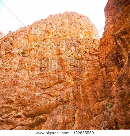 In Todra Gorge Morocco Africa And River
