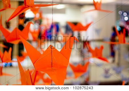 Origami Cranes Hanging From A Thread