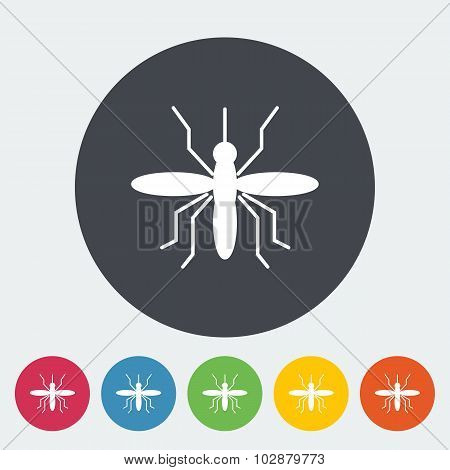 Mosquito