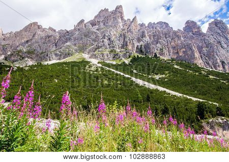 View Of The Rosengarten Group In The Dolomites, Italy