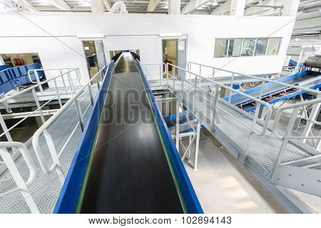 Biomass Waste Plant Conveyer