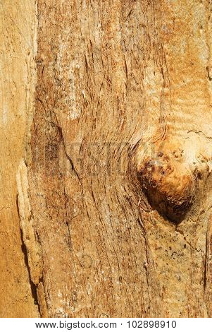 wood texture