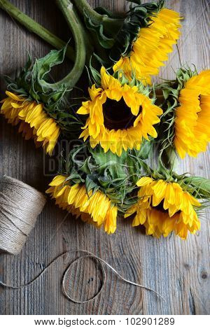 Sunflower bouquet / ????????