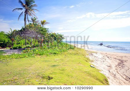 นิการากัวเกาะหาดแห่งข้าวโพด undeveloped