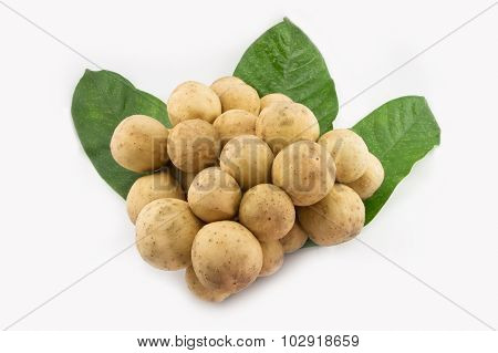 Longong Isolated On White Background