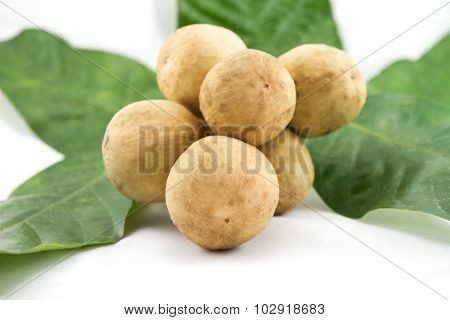 Longong Isolated On White Background