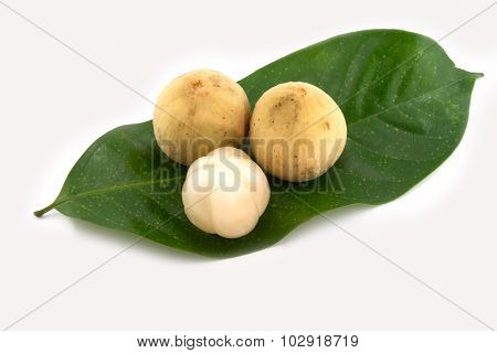 Longong Isolated On White Background