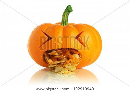 Pumpkin being sick
