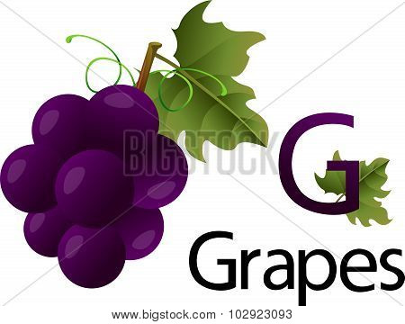 G Font with Grapes