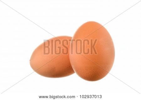 Close Up Of Chicken Egg On White Background