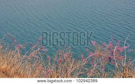Landscape Of Lugu Lake With The Mountains