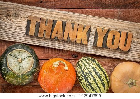 Thank you in letterpress wood type against weathered wood with winter squash - Thanksgiving theme