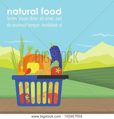 Shopping Basket Full Of Healthy Organic