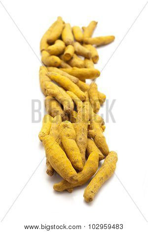 Row of Organic Long Turmeric.