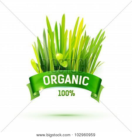 Green Ribon With Organic Emblem And Grass