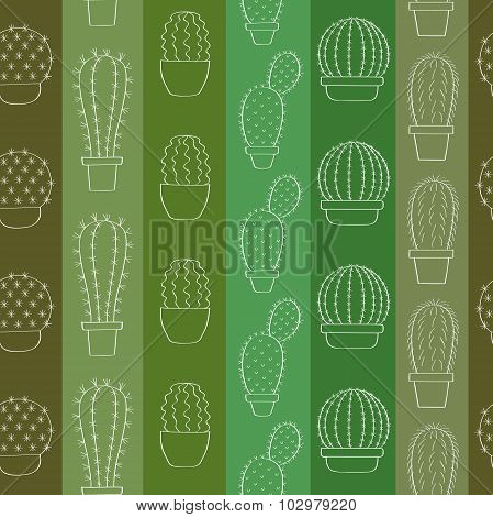 Background With Cacti