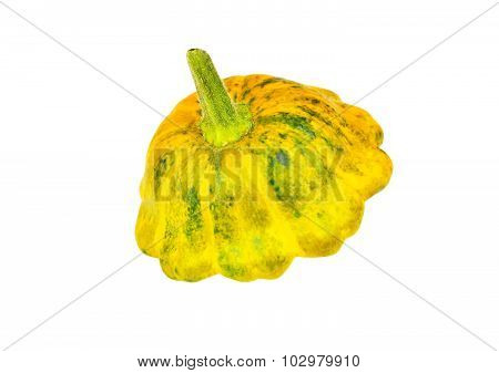 Scalloped custard squash (Cucurbita pepo var. patisson)