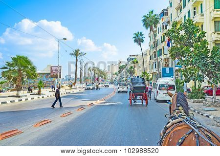 The Mediterranean Promenade