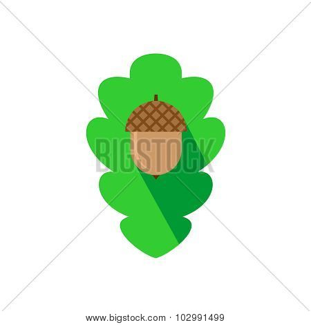 Acorn Sign On The Oak Leaf Background Flat Logo Template.
