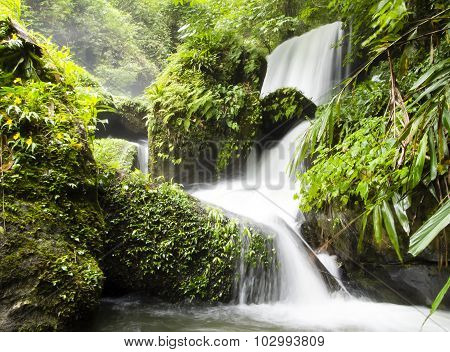 waterfall in tropical forest