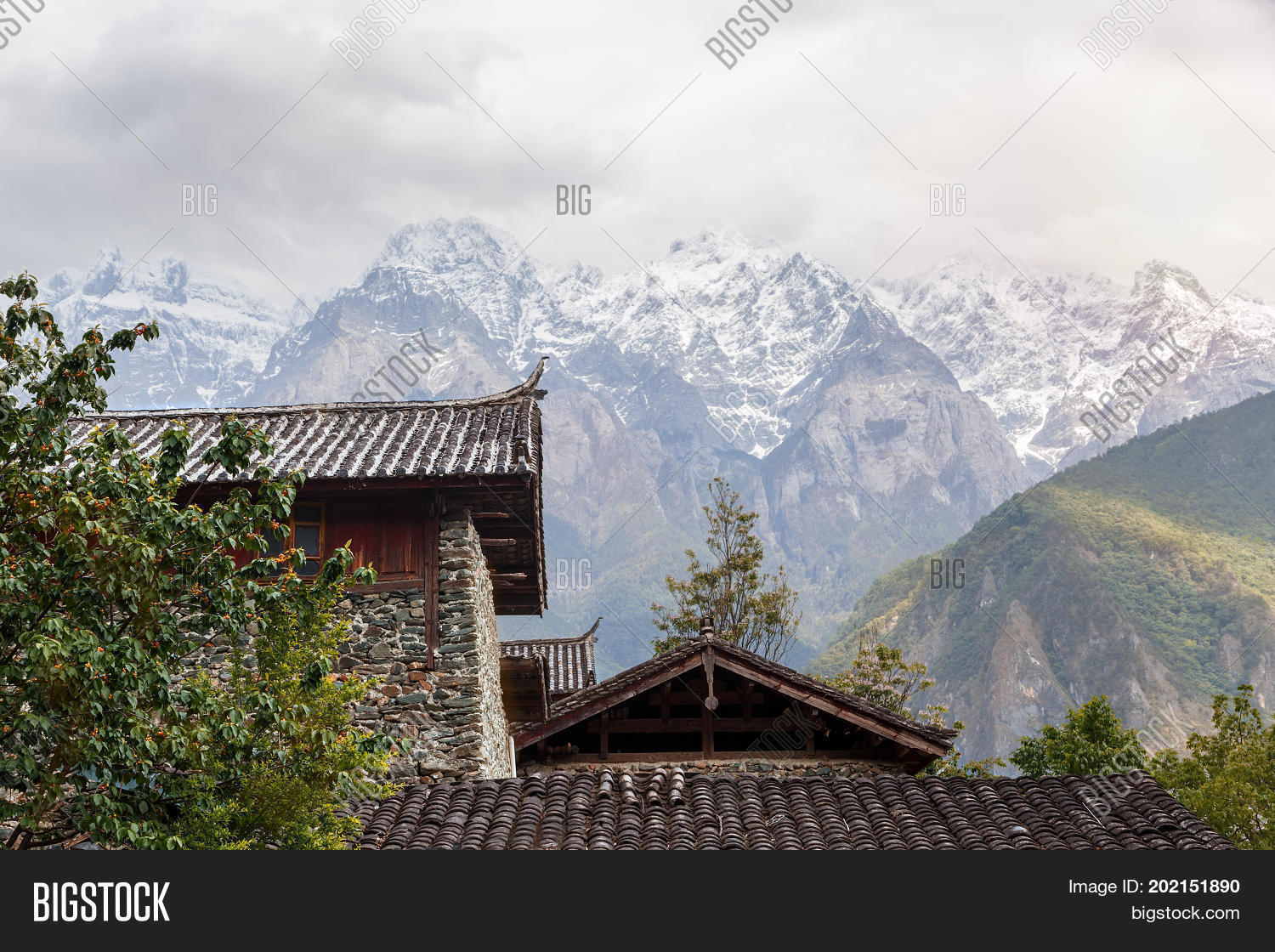 Image Preview