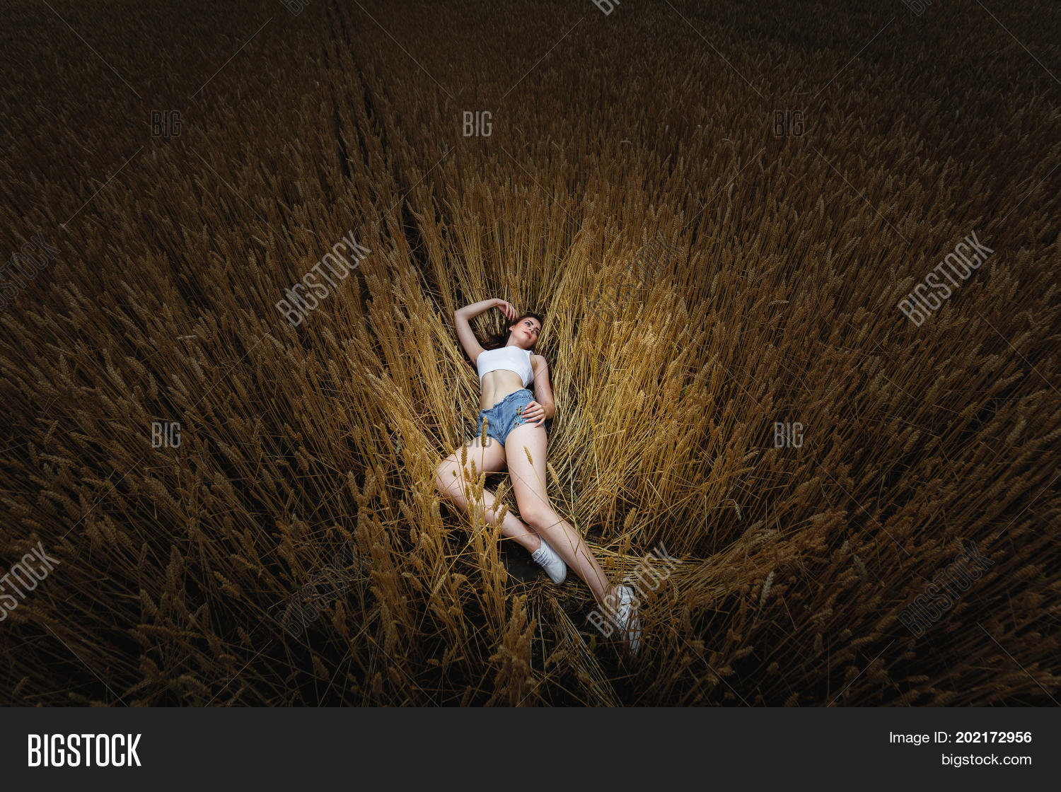 Image Preview