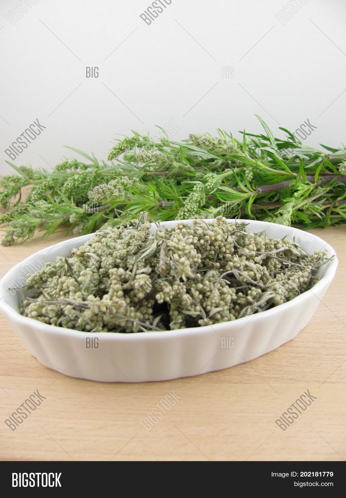 Fresh Dried Mugwort On Image & Photo (Free Trial) Bigstock