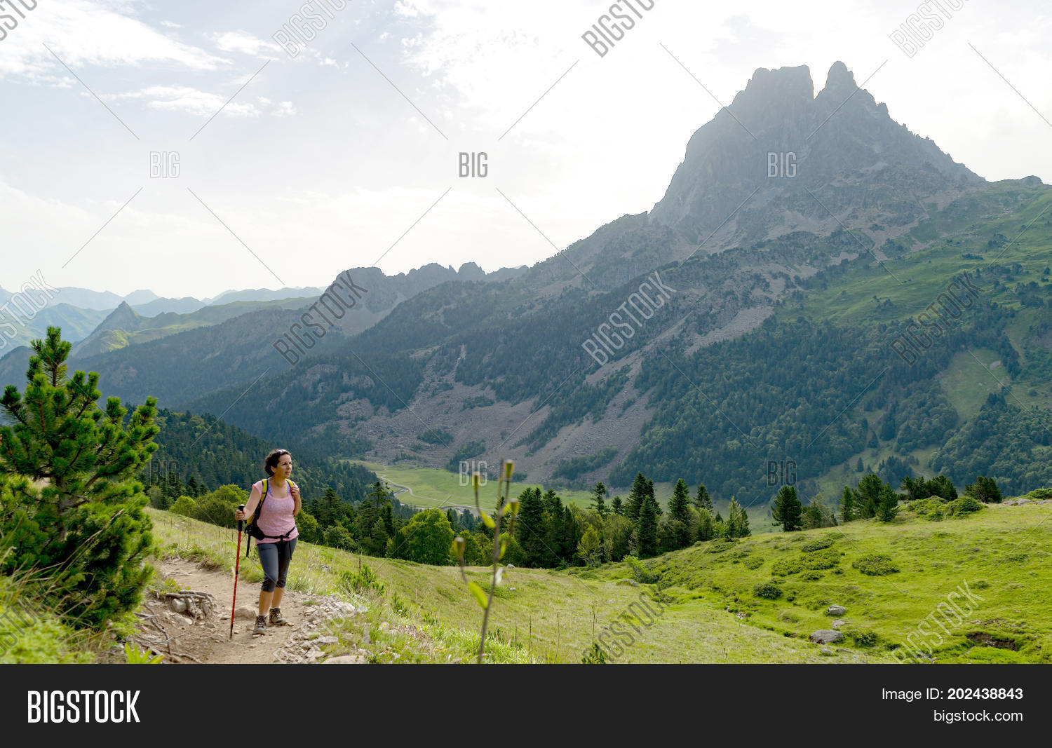 Image Preview