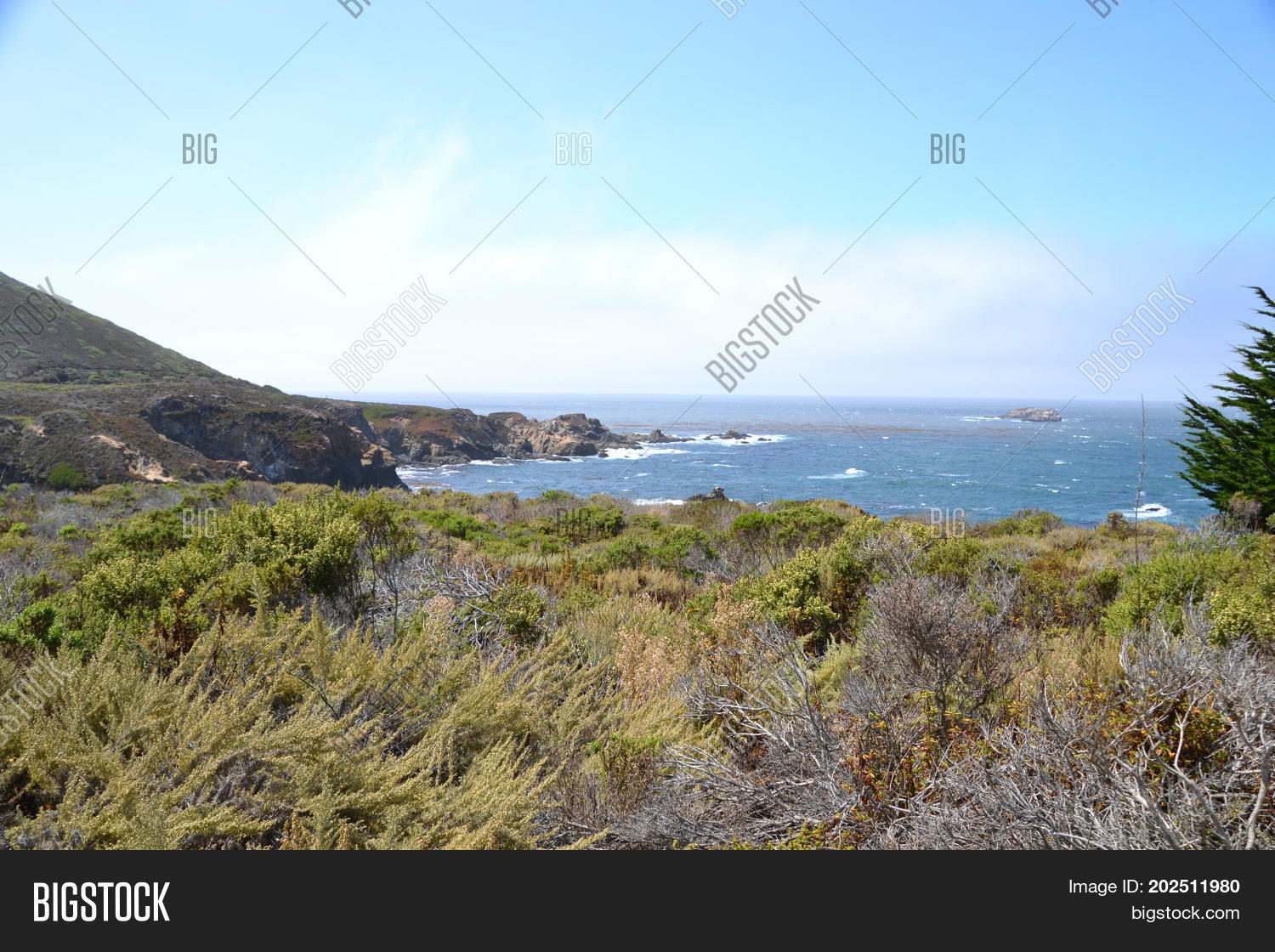 Image Preview