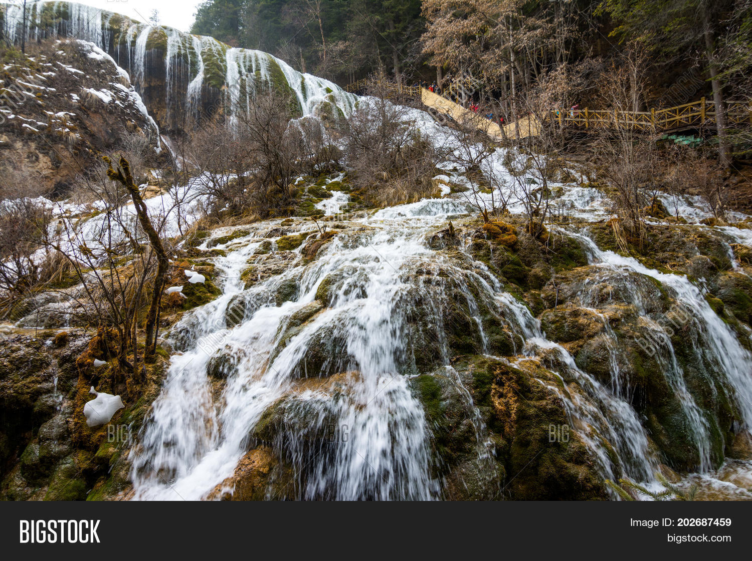 Image Preview