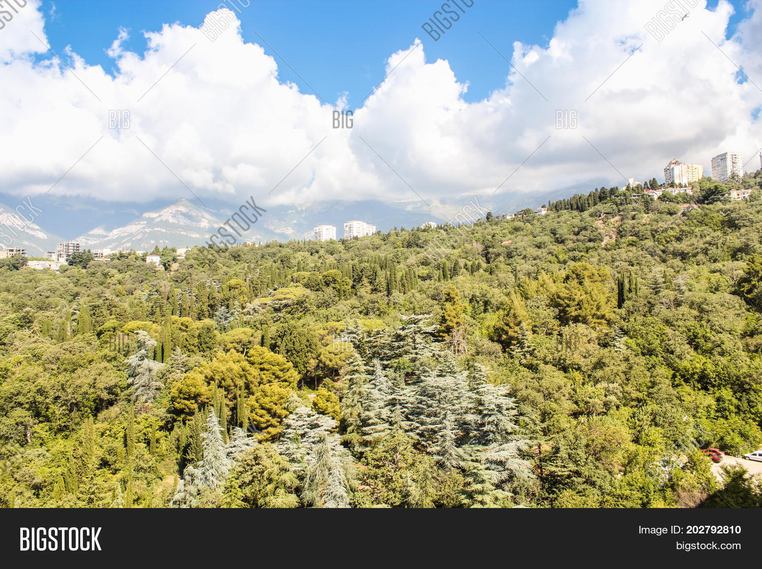 Image Preview